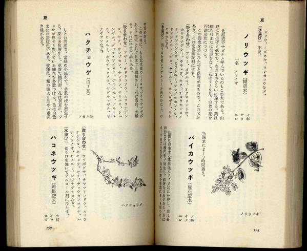 [c7613] Showa era 49 practical use .... material for flower arrangement lexicon | pine rice field .[... . new book ]
