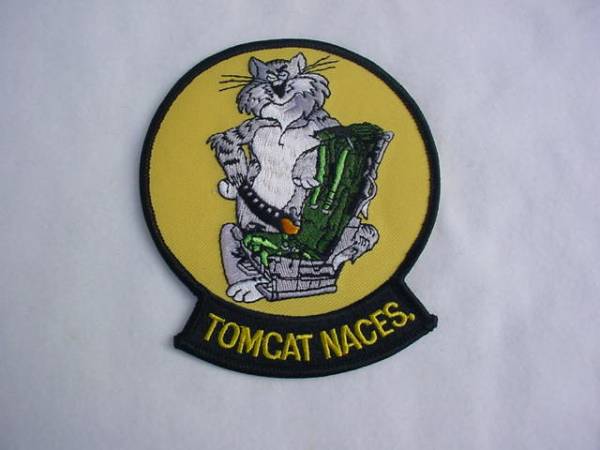 USN F-14 TOMCAT NACES NAVAL EJECTION SEATS 　新品送料無料！_画像1