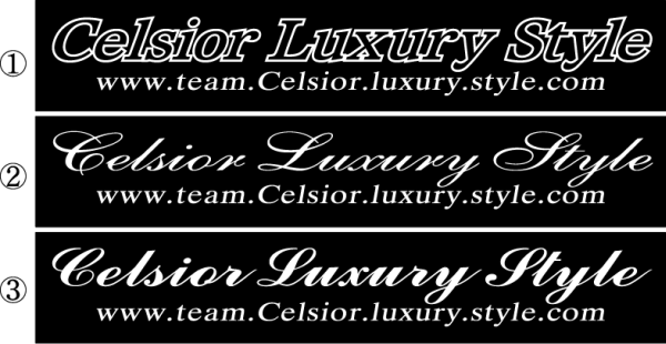 チーム　セルシオ　Luxury Style １００センチ_画像2