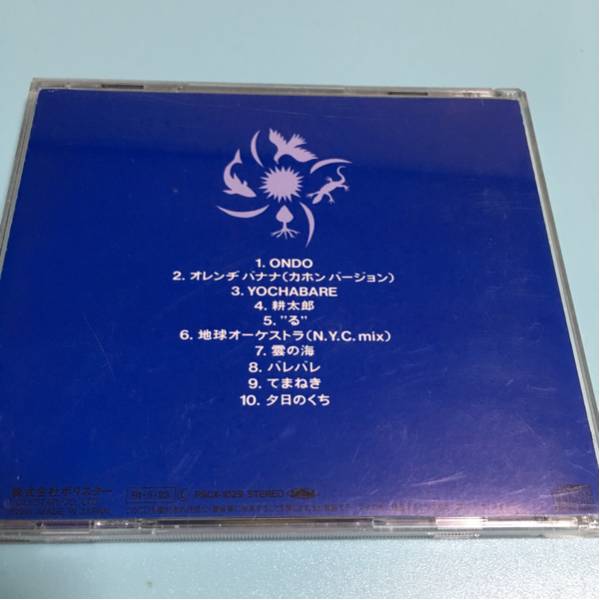 水星価格！kusu kusu cajon 云の海 てまねき 耕太郎。