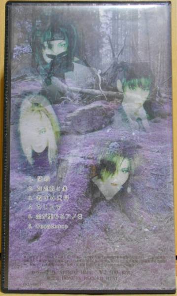 ポストカード付 lamiel 眼界記 blast 維那 deadman aie 開眼