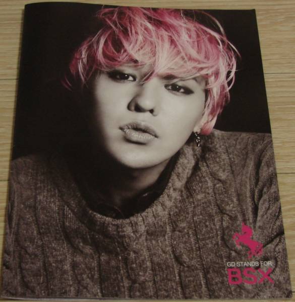 ★G-DRAGON ジヨン BSX 2012年 カタログ★韓國非売BIG