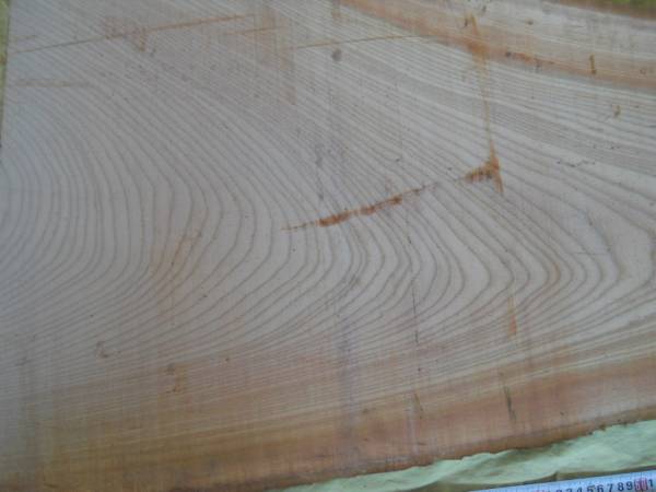 木目がすてきなけやき材　欅　端材　切り端　ＮＯ２２０_画像3