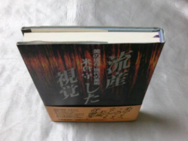 流産した視覚―美の現在・現代の美術 / 米倉守　総合美術評論_画像2