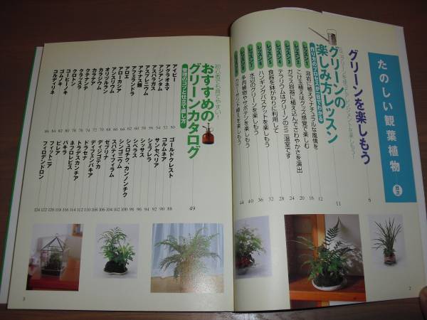 ♪♪【送料無料！】　お部屋を飾る　たのしい観葉植物 -主婦の友新実用BOOKS-　【売り切り】♪♪_送料：クリックポスト￥164～！即決有