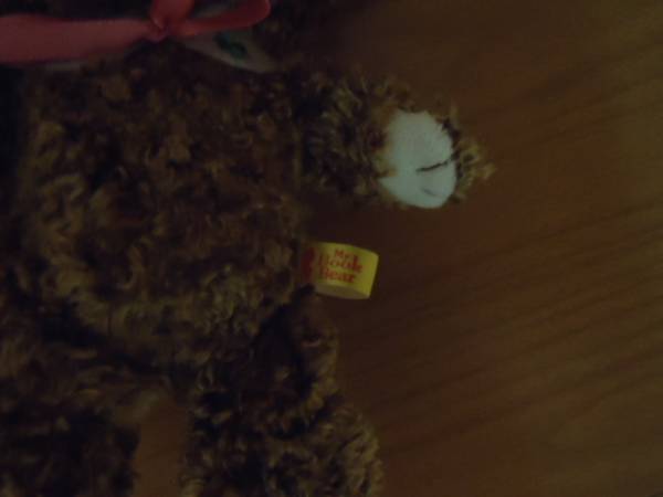☆My Book Bear☆ふわふわぬいぐるみ　