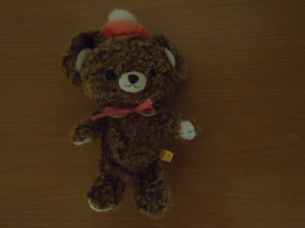 ☆My Book Bear☆ふわふわぬいぐるみ　