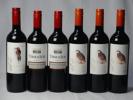 チリ赤ワイン6本セット デル・スール カベルネ・ソーヴィニ