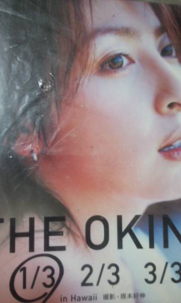 THE OKINA 1/3 奧菜恵