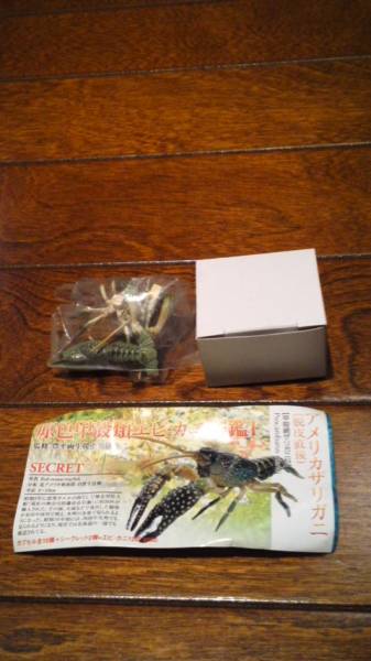 原色エビ・カニ図鑑Ⅰ アメリカザリガニ(脱皮直後)