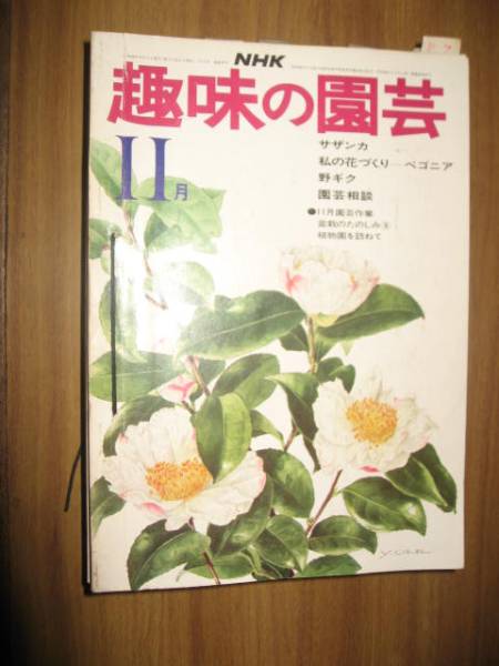 ＮＨＫ趣味の園蕓 昭和４９～５８年１１月號(hào)のみの１０冊(cè)