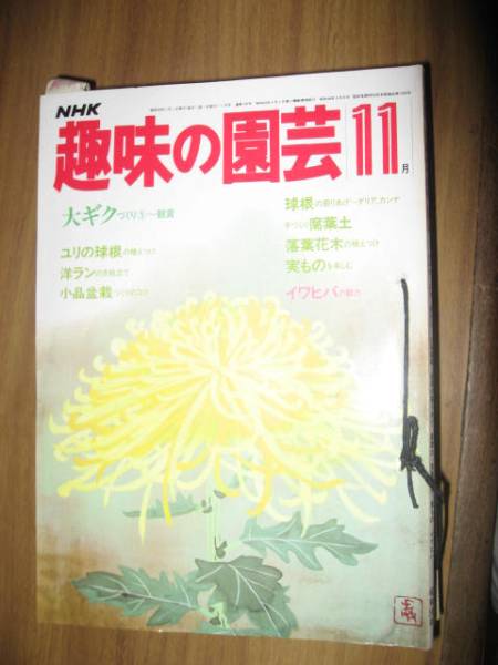 ＮＨＫ趣味の園蕓 昭和４９～５８年１１月號(hào)のみの１０冊(cè)