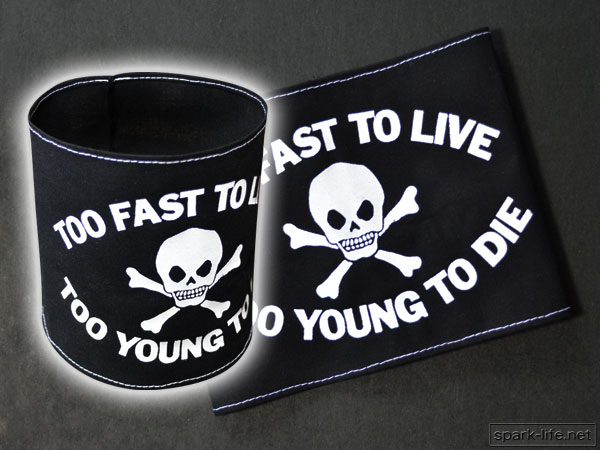 *PUNK FASHION STYLE* arm band arm band [TOO FAST TO LIVE TOO YOUNG TO DIE] free shipping!!