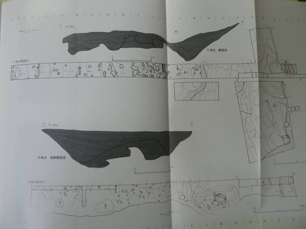 史跡根城跡環境整備事業既報Ⅰ / 青森県八戸市 1987年 城郭_画像3