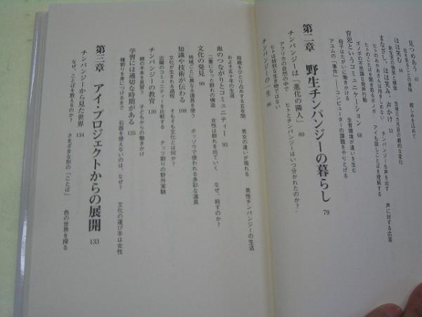 ●おかあさんになったアイ●松沢哲郎●