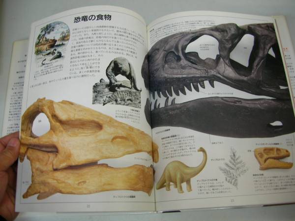 ●恐竜●進化生態環境絶滅の謎を探る魅力的な世界ビジュアル博物_画像3