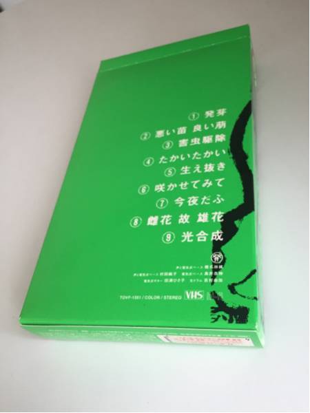 【美品】【VHS】【非売品】椎名林檎 発育ステータス VHS ビデオ【送料レターパックプラス600円】非売品　激レア 希少