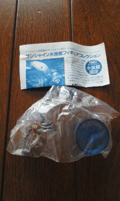 サンシャイン水族館フィギュア　コブシメ