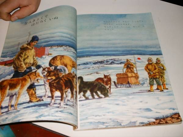  free shipping Showa Retro science book (... etc. ...) Showa era 36 year 