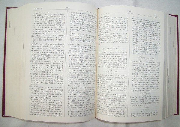 【b0758】昭和58 薬科学大辞典 縮刷版／廣川書店_画像2