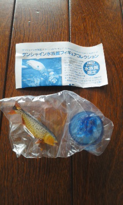 サンシャイン水族館フィギュア　ドラド