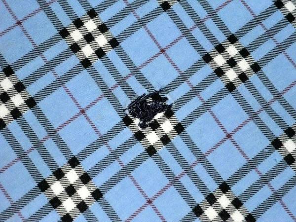 $ 美品 $ 春 ◆ BURBERRY ◆ バーバリー ロンドン ◆ ノバチェック ◆ 半袖 カットソー ◆ サックスブルー系 ◆ レディース S ◆ 送料無料