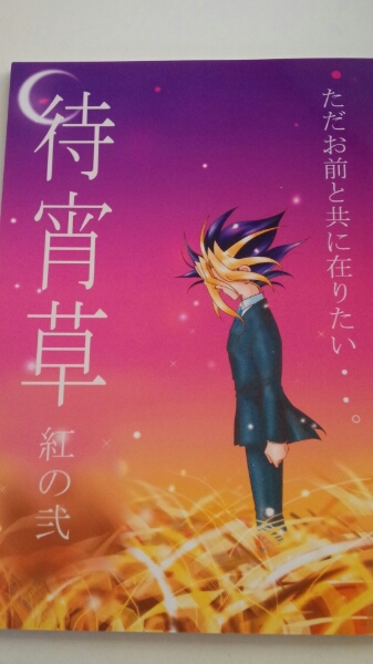 遊戯王同人誌★闇表/闇遊戯×表遊戯★silvermoon【待宵草　紅の弐】