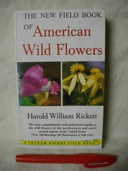 [英語]The New Field Book Of American Wild Flowers 野の花1963