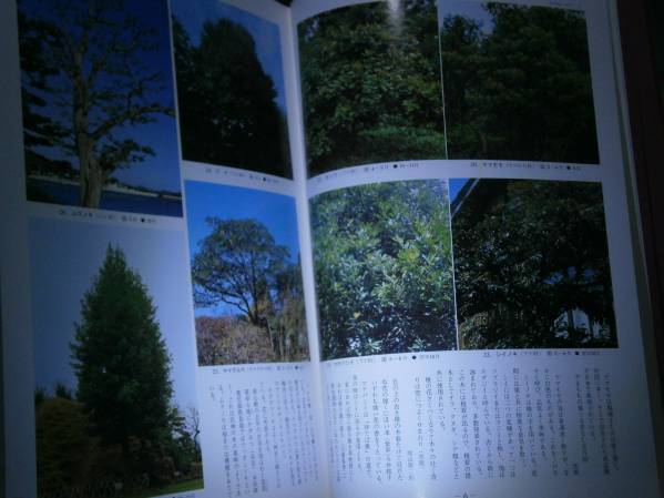 □岡本省吾『庭木　樹種とその管理』保育社S57:２刷函ビニカバ_画像3