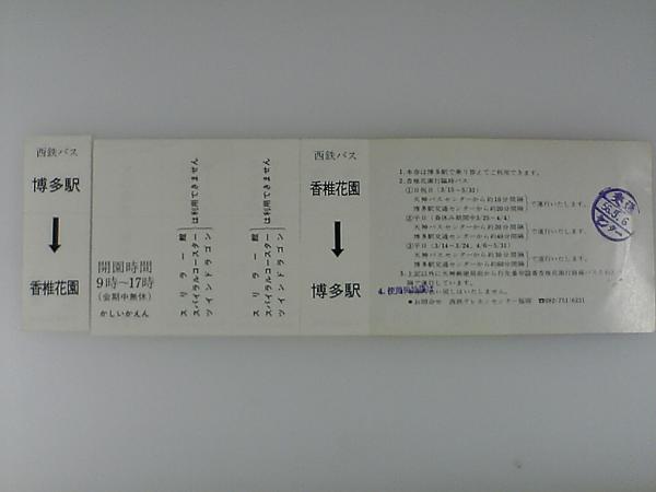 昭和56年/西鉄バス/サービス券付クーポン/大恐竜博/_画像2