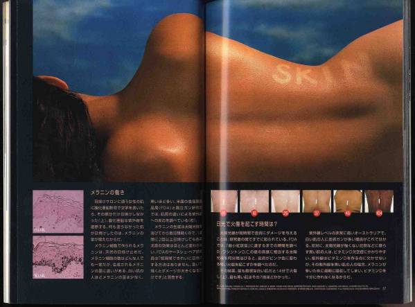 【d2888】02.11 ナショナルジオグラフィック日本版／皮膚の謎..._画像3