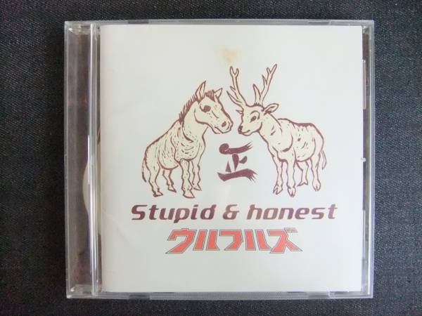 CDアルバム-3　　ウルフルズ　　Stupid＆honest　音楽　グループ　同梱可能_画像1
