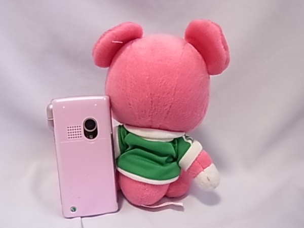 「可愛いPost　pet　モモちゃん　お座り?」