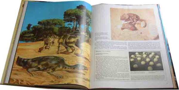 恐竜の本・原書「THE BIG BOOK OF DINOSAURS」_画像2
