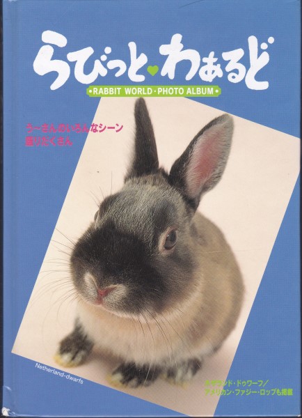 [ secondhand book ]........*.-.. rabbit rabbit .1996 year 