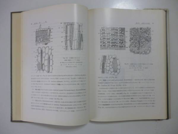 改稿増訂　薬用植物学総論　著（木村康一・木島正夫）裸本_画像2