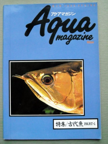 魚 アクアマガジン 1990 5号 古代魚_画像1