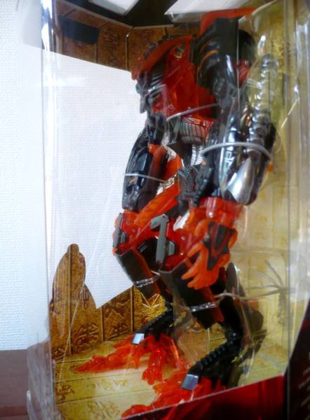 ＷＦ2010限定ＴＦ　ザ?フォールン ブレイジングエディション　