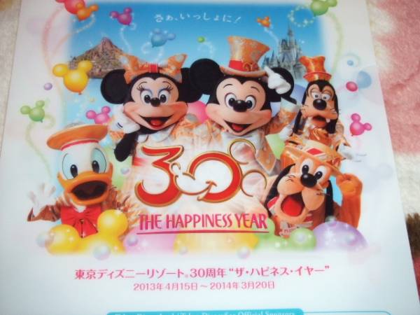 TDR30周年スペシャルナイト☆クリアファイル☆未使用☆2013/4/13