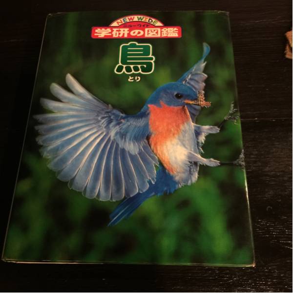 鳥 学研の図鑑 ニューワイド