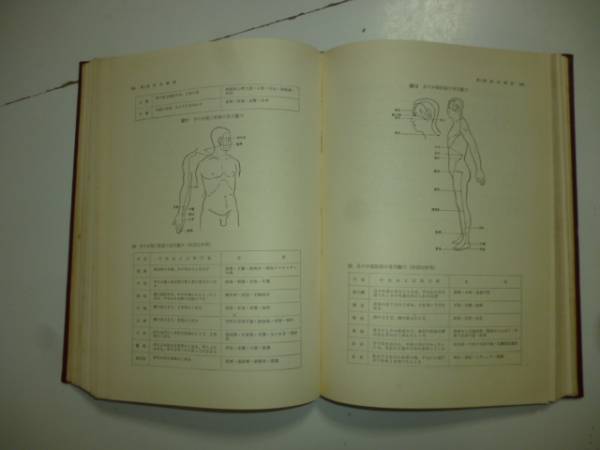 中国 漢方医学概論(裸本) 編著者・南京中医学院(東洋医学 中国 漢方医学概論(裸本) 編著者・南京中医学院(東洋医学