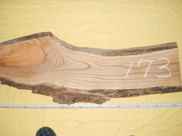 木目がすてきなけやき材　欅　端材　切り端　ＮＯ１７３_画像1