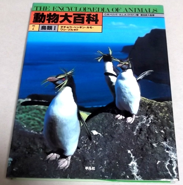 ! быстрое решение!wasi,taka, пингвин,kiji,tsuru др. [ птицы Ⅰ животное большой различные предметы 7]
