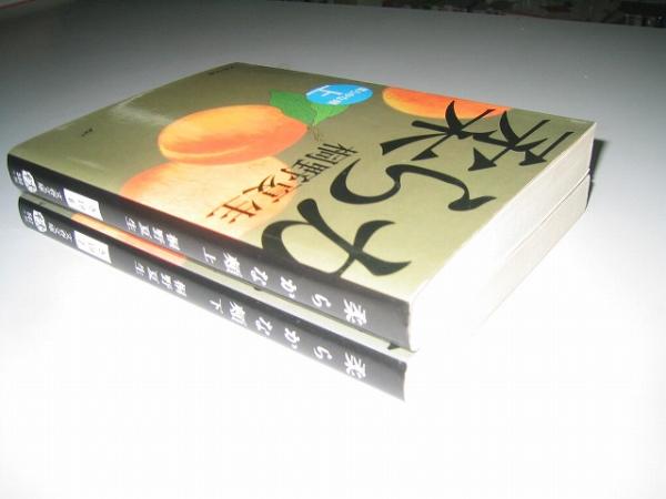 ●柔らかな頬●上下巻完結(jié)セット●文庫(kù)版●桐野夏生●即決