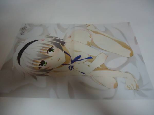 即決　落第騎士の英雄譚　折込ポスター(3)