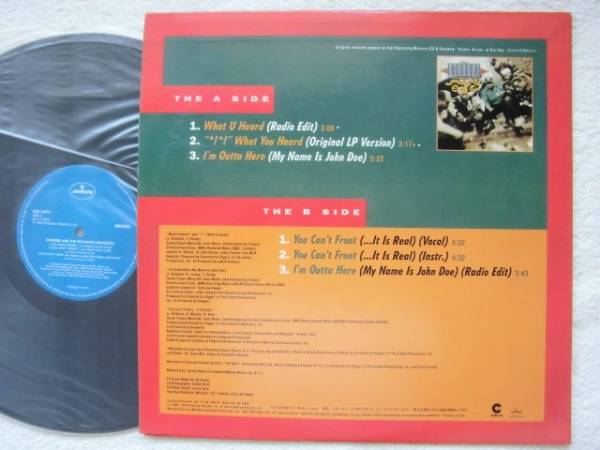 国内盤/Diamond And The Psychotic Neurotics/What You Heard~_画像2