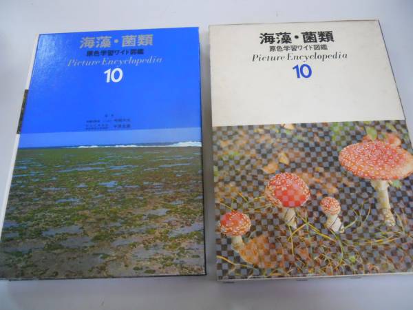 * seaweed *. kind *. color study wide illustrated reference book *10* study research company *1977 Gakken *