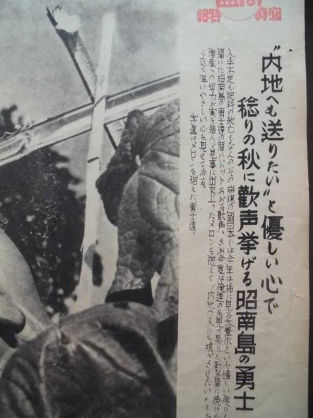 戦時古新聞★同盟写真特報　昭和１７年　ジャワの豊作祭り　内地へも送りたいと優しい心で・・・_画像3