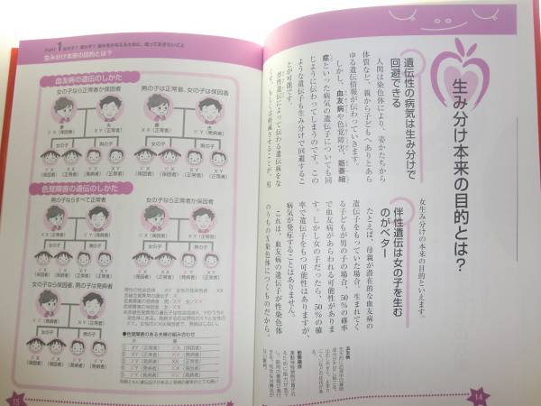 ★単行本　女の子・男の子 生み分けBOOK 杉山力一【即決】_内容　イメージ