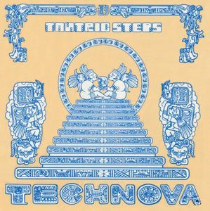 至極のトランシーアンビエントDUB!Technova/ Tantric Steps_画像1